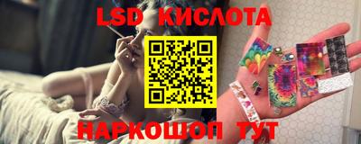гидра Будённовск