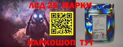 гидра Будённовск