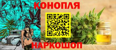 гидра Будённовск