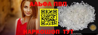 гидра Будённовск