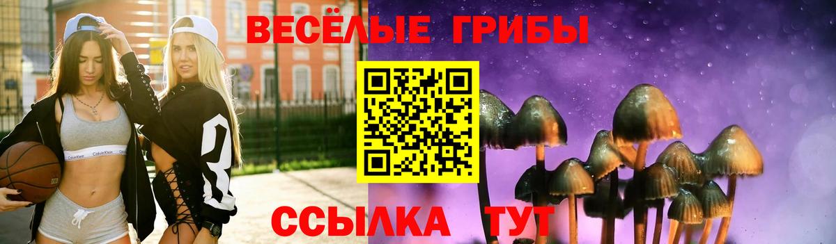Протвино  Псилоцибиновые грибы прущие грибы  Вход с VPN  Галлюциногенные грибы Cubensis 