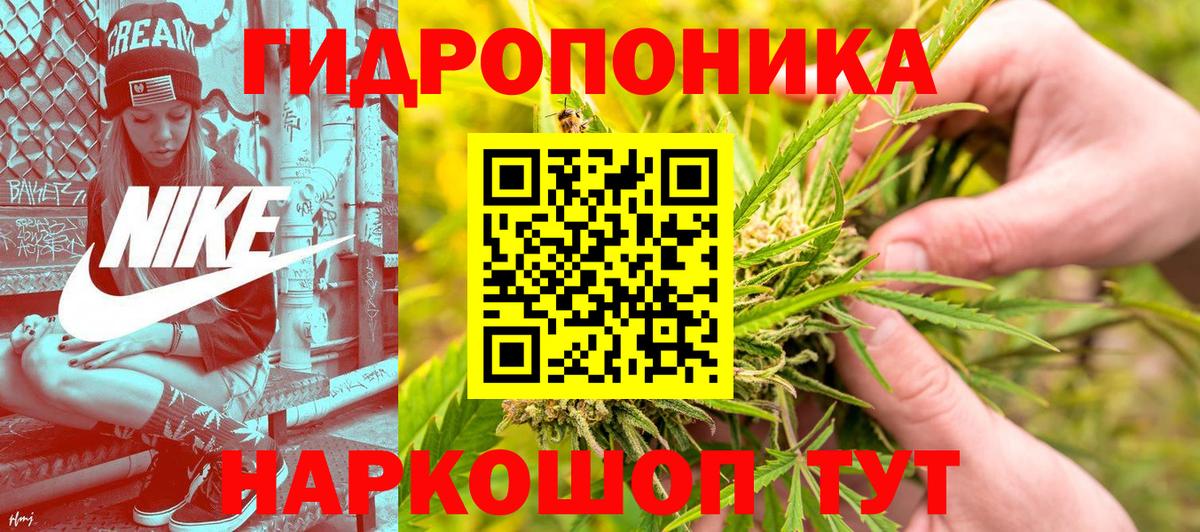 МАРИХУАНА планчик  Канабис Bruce Banner  Вход с VPN  Протвино 